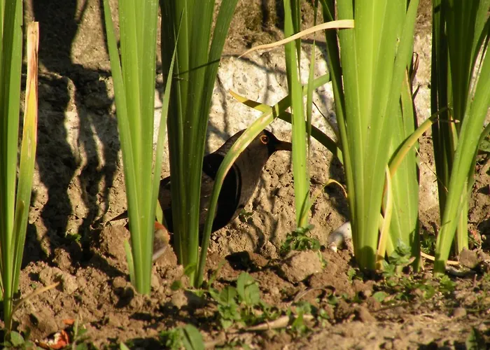 Galgani Alojamento de Acomodação e Pequeno-almoço