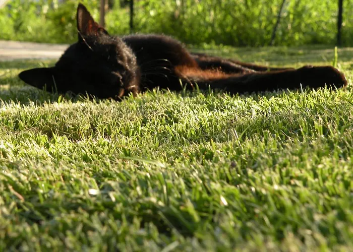 Galgani Alojamento de Acomodação e Pequeno-almoço